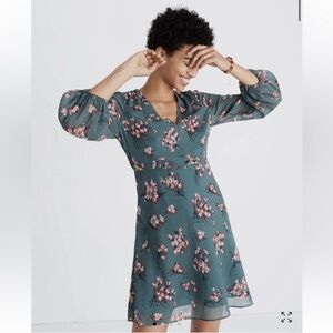 Madewell Teal Floral Long Sleeve Dress